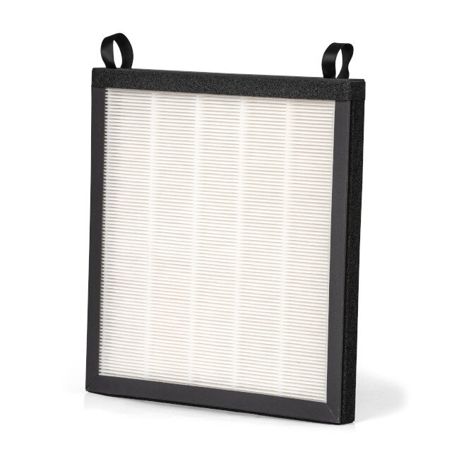 Woods HEPA filter H11 pre Cortina 12K AirSwitch